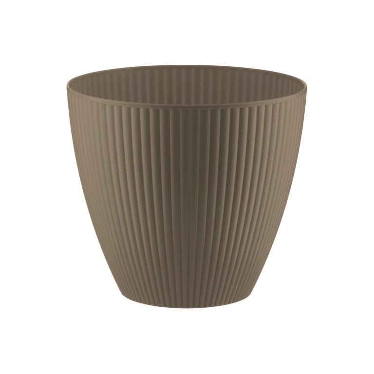 DUNE SMALL