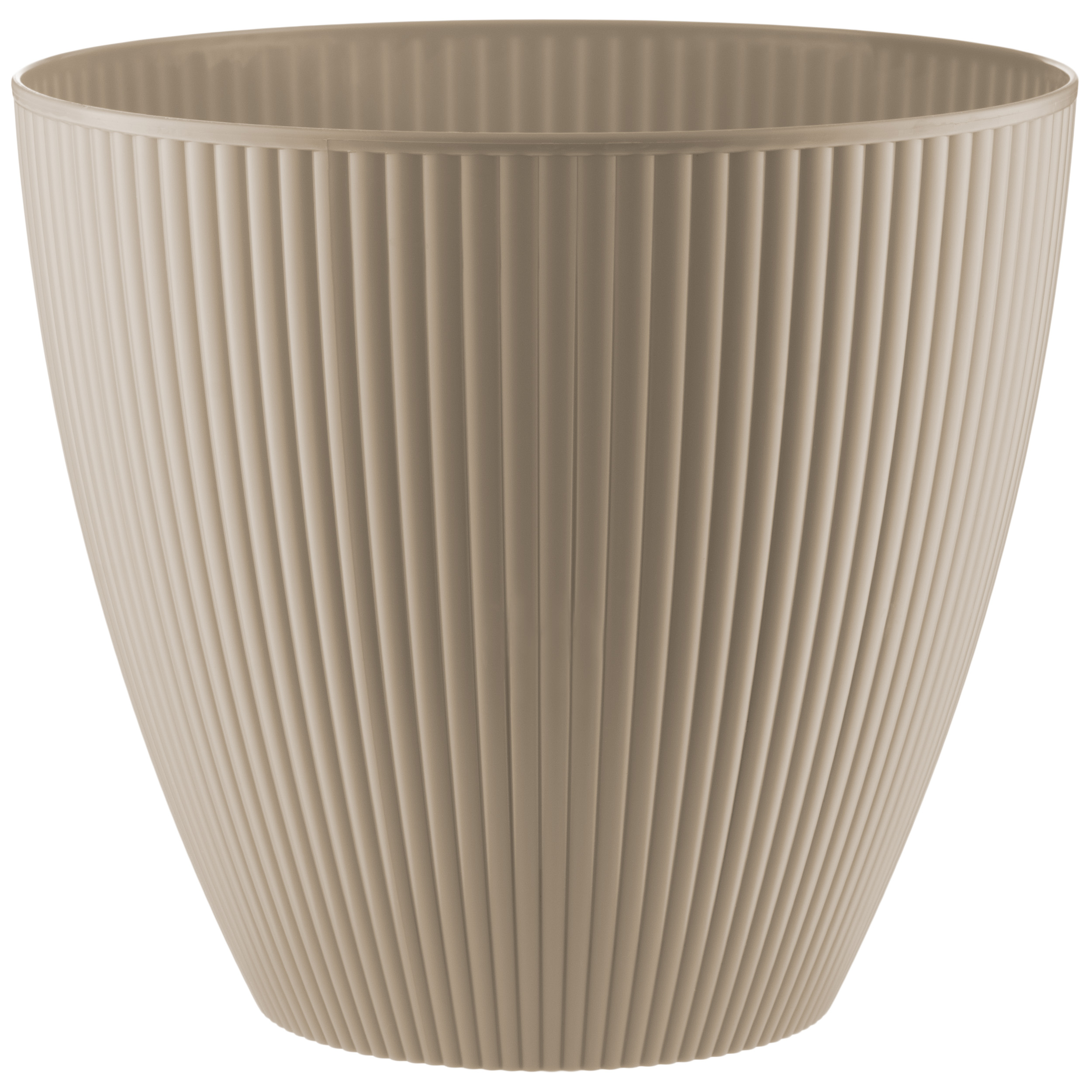 IVORY LARGE
