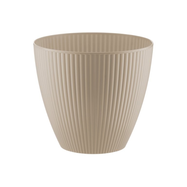 SMALL IVORY